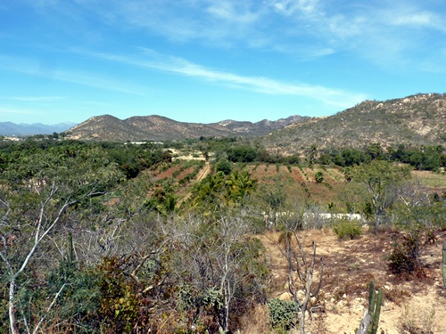 Sustainable properties in Los Cabos